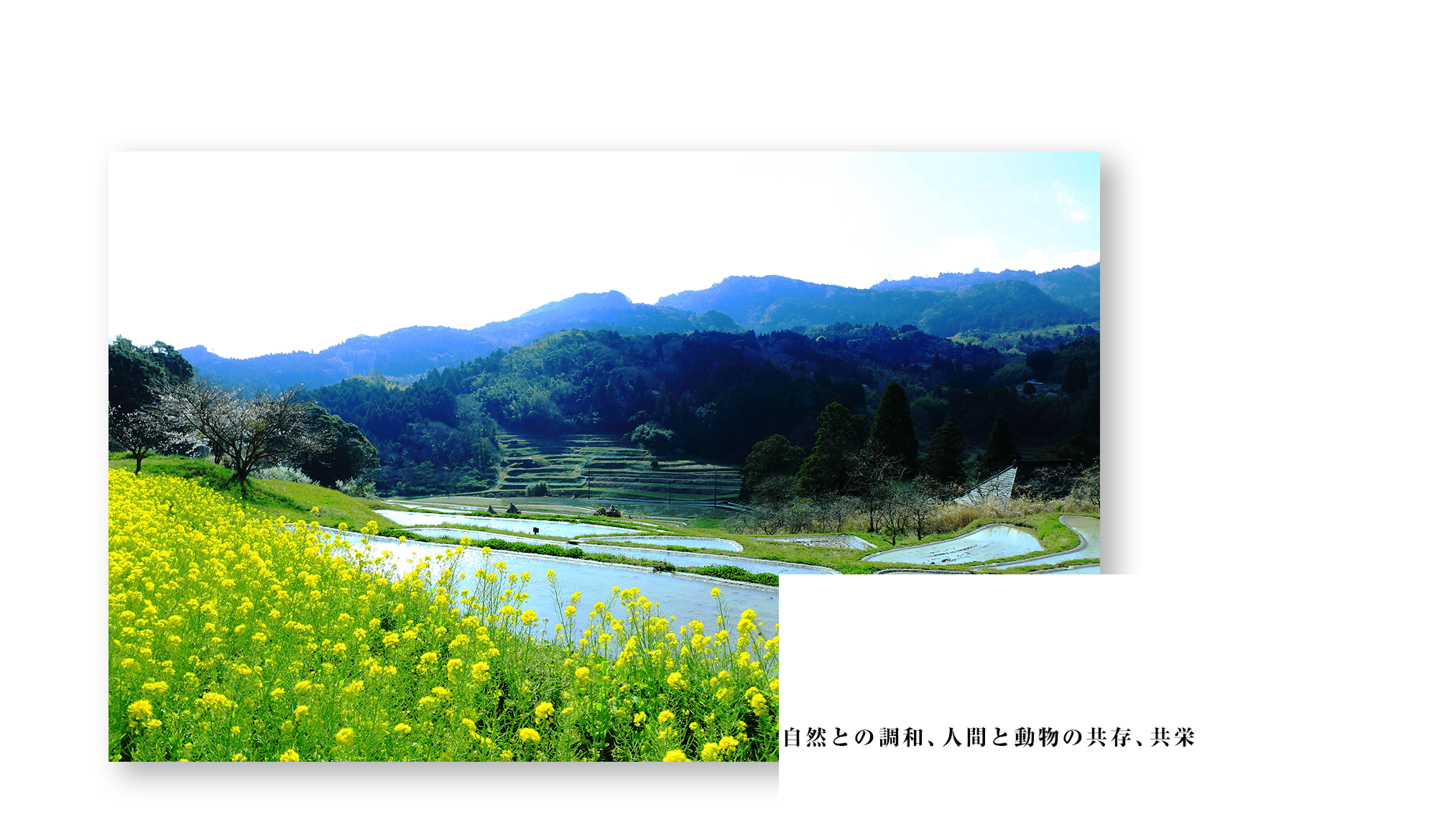 自然との調和、人間と動物の共存、共栄